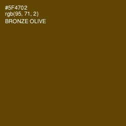 #5F4702 - Bronze Olive Color Image